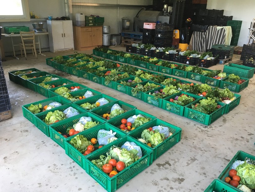 Val Terbio, entreprise de maraîchage bio basée à Mervelier s'agrandit. (Photo : Val Terbio).