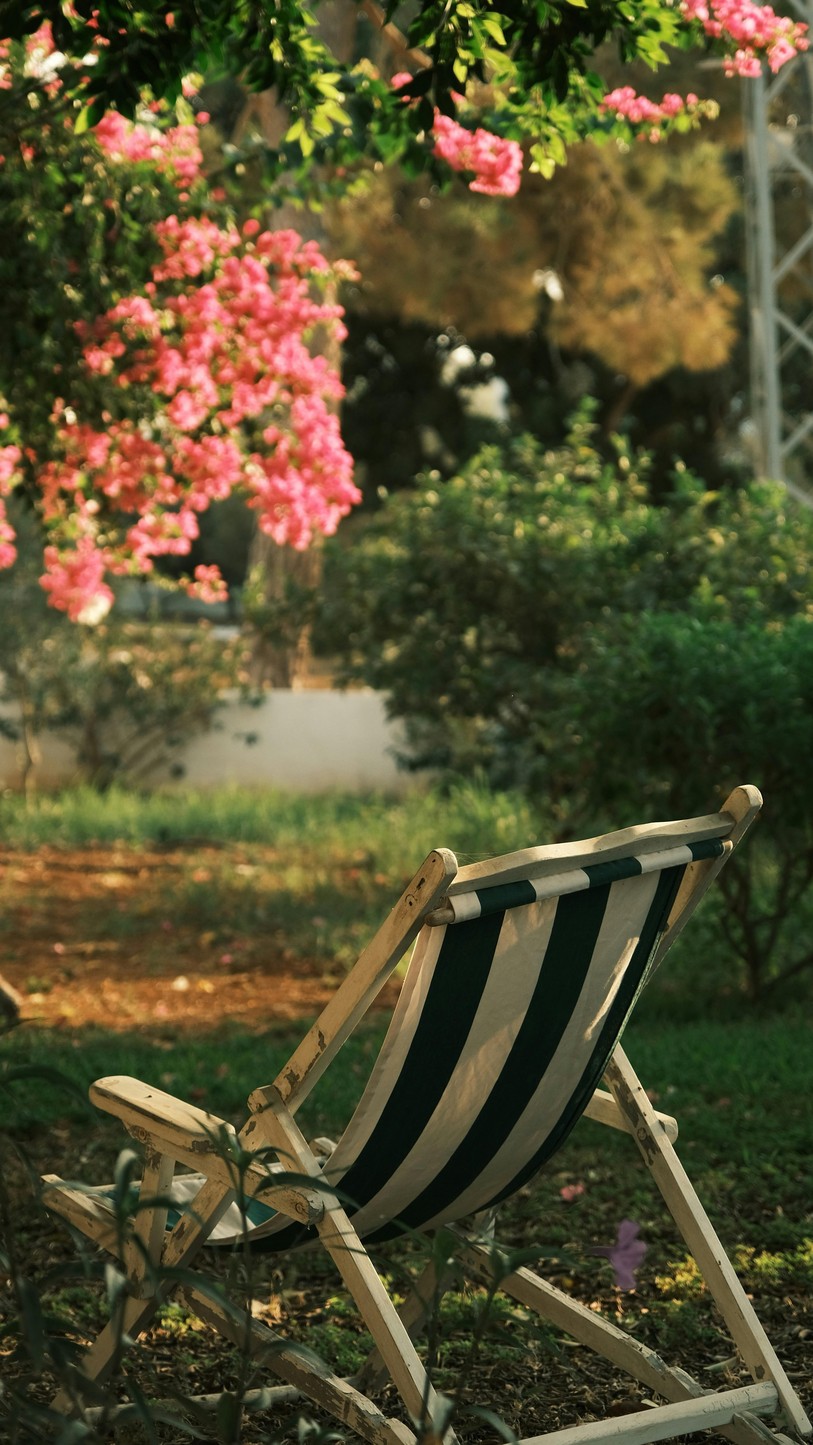 Rêver au jardin...