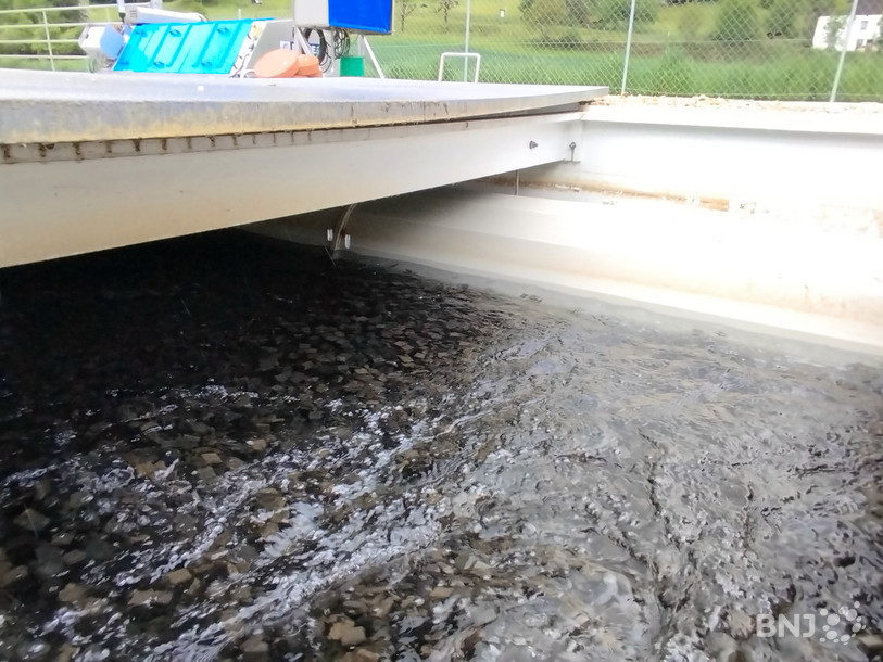L'eau arrive ensuite dans de grands bassins pour subir un traitement biologique.