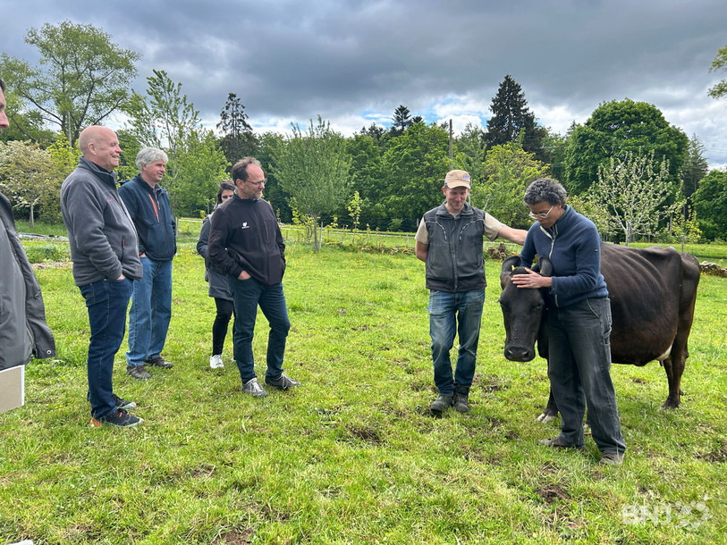 Le domaine des Petites Fraises aux Reusilles a accueilli l'événement ce mercredi.