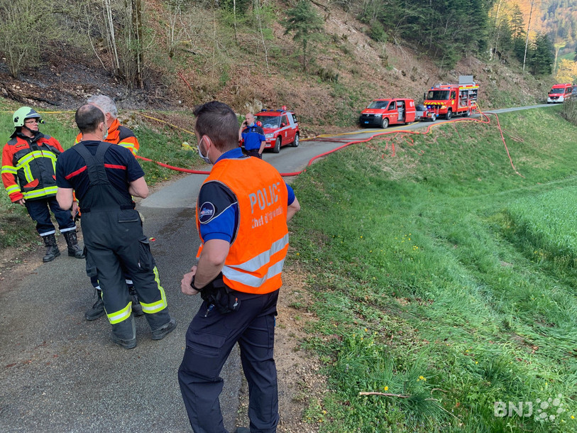 Le feu a pris dans de la végétation.