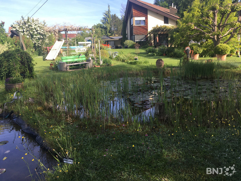 Le jardin des Bonnemain comprend, notamment, une mare artificielle. 
