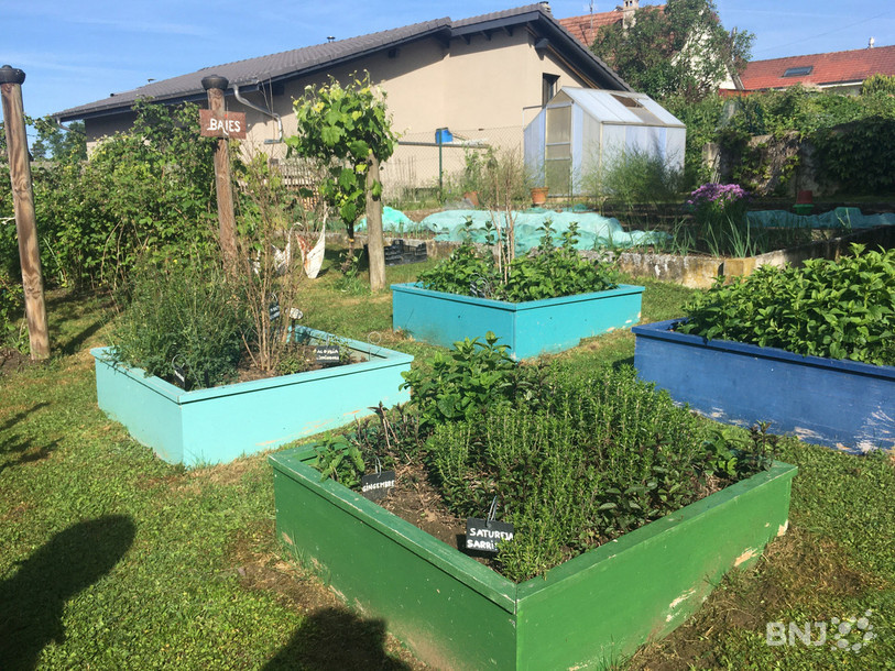Le jardin de la famille Bonnemain à Alle fait environ 3'000 m2.