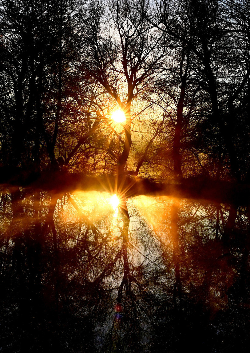 L'un des paysages photographié par Denis Burgerey et exposé au Château de Miécourt.