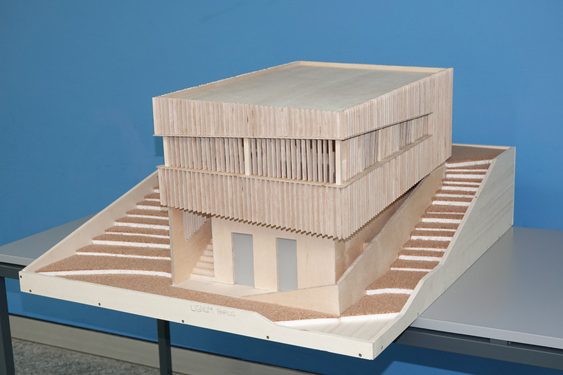 Le 1er prix revient à Sylvain Moser pour son projet intitulé « Lignum Papilio ». (Photo : Lignum Jura).