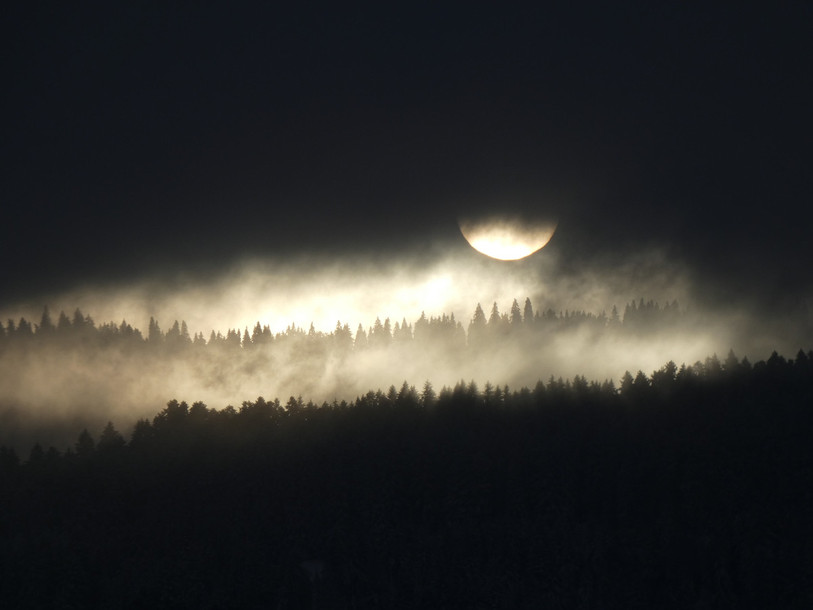Découvrir le Parc du Doubs au clair de lune grâce à plusieurs excursions lors de la Fête de la Nature. (Photo : Maurice Grüning).
