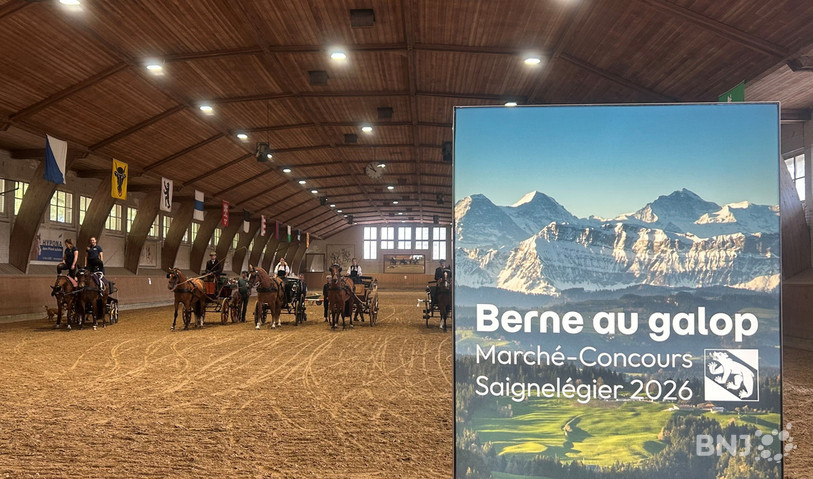Le Canton de Berne entend miser sur sa diversité pour séduire les visiteurs du Marché-Concours.