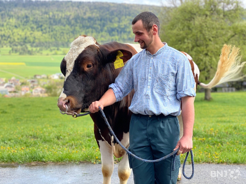 Comme le veut la tradition, le vainqueur de la fête repartira avec un taureau. La bête s'appelle Emil. Elle a été présentée mardi matin sur l'exploitation agricole de Martin Tschan, à Corgémont. 