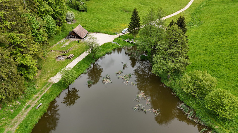 La société de pêche de Lajoux va notamment s'occuper d'entretenir l'étang des Beusses. (Photo : SPELA)