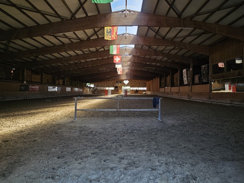 Les chevaux sont la majorité du temps dans le manège, un endroit fermé et isolé qui offre de la fraicheur... ou un abri en cas d'orage.