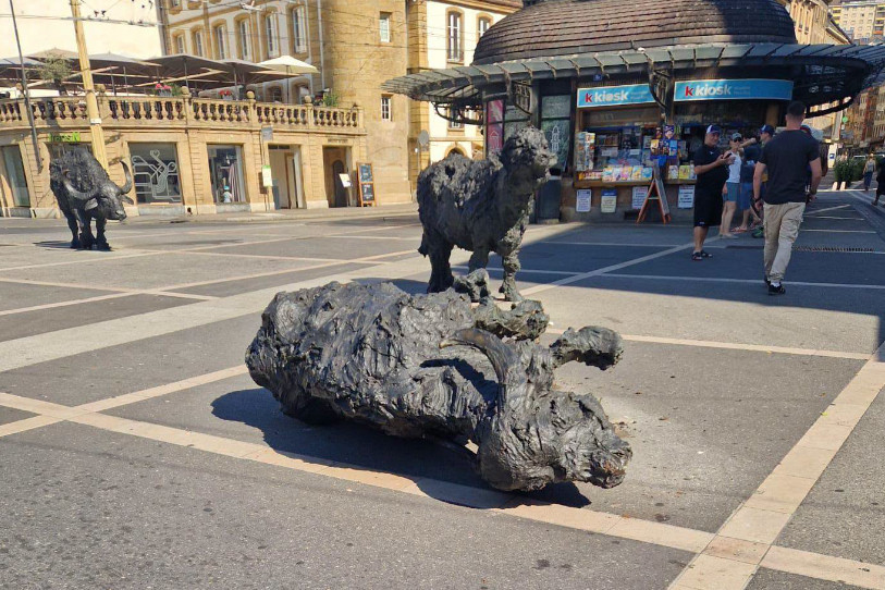 Une des bufflonnes de Davide Rivalta, installées sur la Place Pury a été renversée par un camion de livraison. (Photo : Ville de Neuchâtel)
