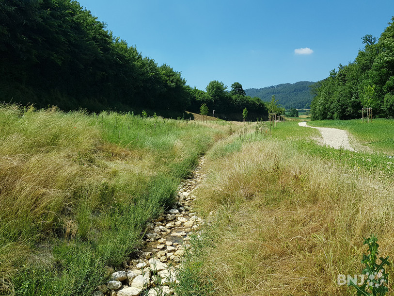 Les travaux de protection des crues sont déjà bien avancés à Develier, comme ici à la fin du village en direction de Bourrignon.