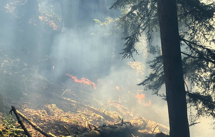 Le feu a affecté environ 3'000 mètres carrés de végétation. (Photo : Police neuchâteloise).
