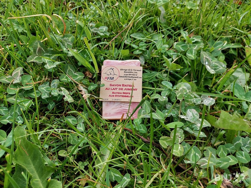 L'un des savons de Léa Bandelier, appelé Batida en l'honneur de la jument qui a adopté de nombreux poulains.