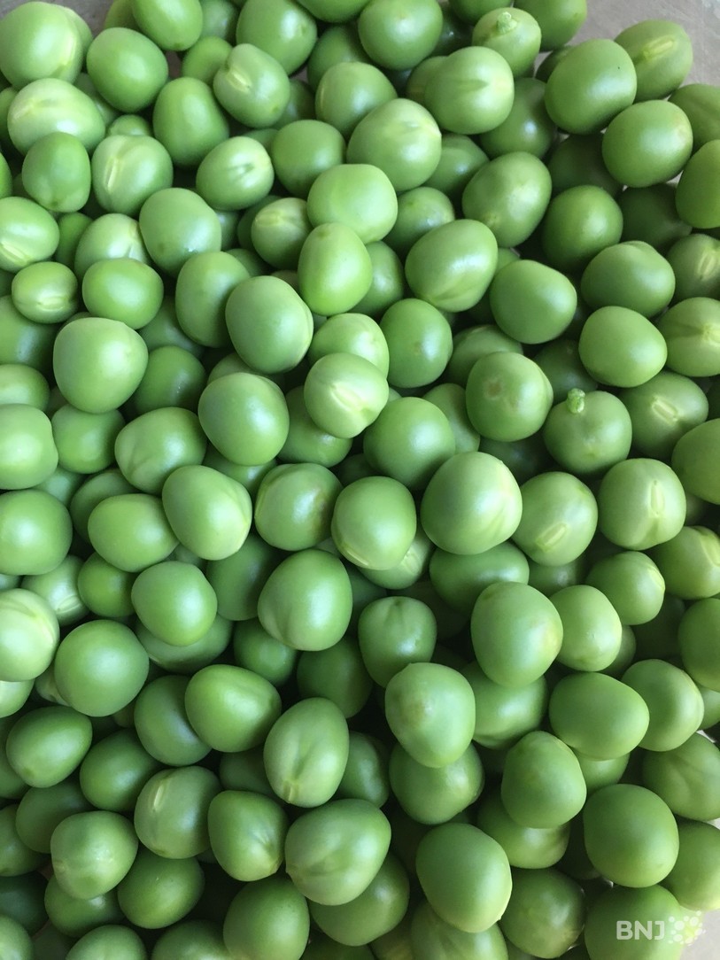 petits pois