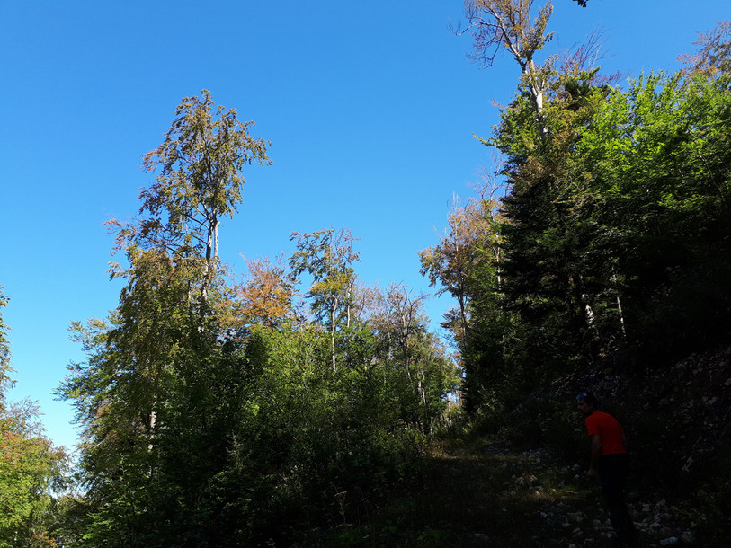 Le canton du Jura veut se doter d'un fonds pour le climat. (Photo : jura.ch).