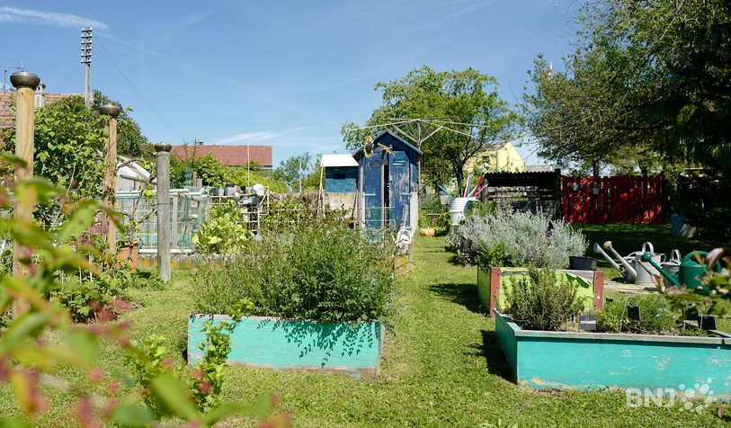 Jardin des Bonnemain à Alle