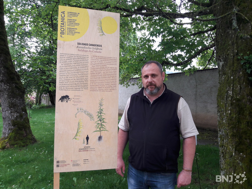 Alain Mertz, jardinier chef au jardin botanique de Porrentruy, devant l'un des panneaux explicatifs présentant une néophyte envahissante.
