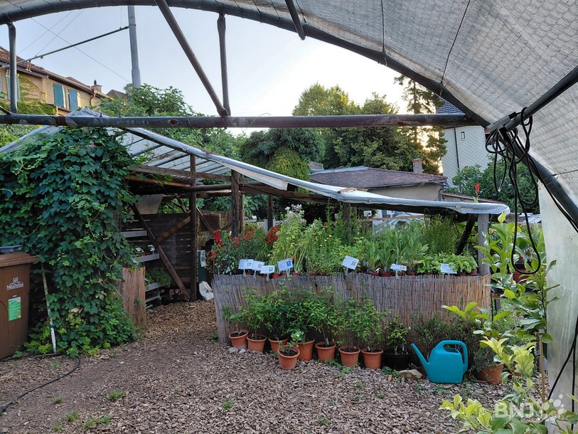 Jardin des senteurs