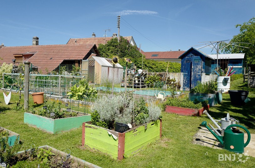 Visite du jardin de « Doudou et Coca » Bonnemain à Alle.