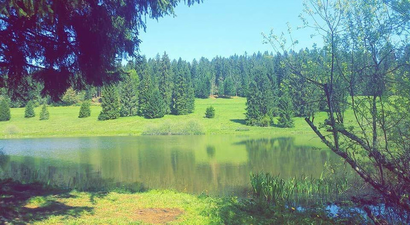 La réserve naturelle de « Plain de Saigne » est concernée par un arrêté qui vise à protéger davantage ce site (photo : auditeur RFJ)