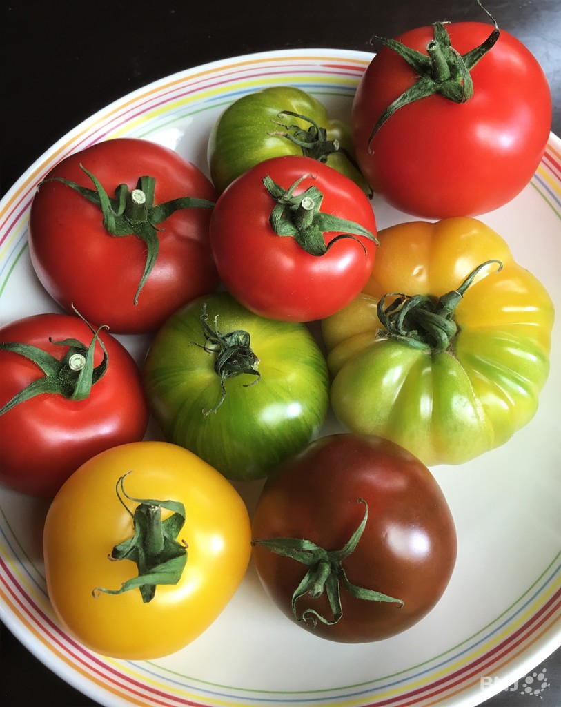 Des tomates de toutes les couleurs RTN votre radio régionale — free download