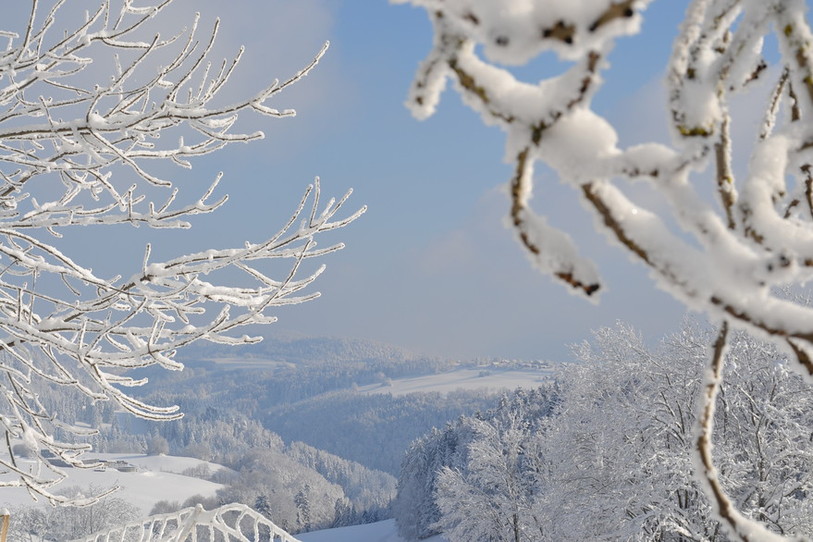 La neige a semé la zizanie en ce début de semaine à Tokyo