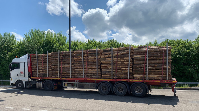 Selon l'AFD, le transport de ces rondins de bois s'avérait dangereux pour la circulation routière, car il manquait une dizaine de sangles pour assurer le chargement. (Photo : Administration fédérale des douanes).