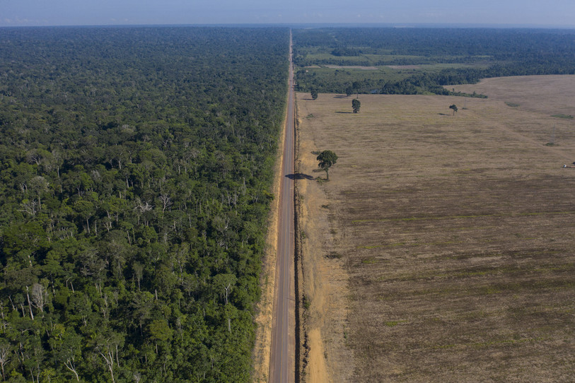 Et pourtant, c'est flagrant, notre poumon est saccagé. (Photo : AP / Leo Correa).