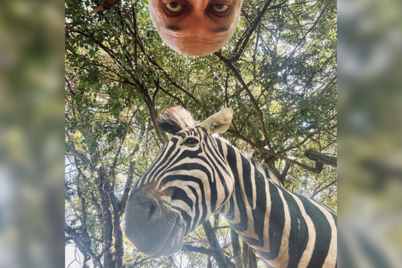 En Afrique, le Jurassien a fait de drôles de rencontres. (Photo : Christophe Meyer.)