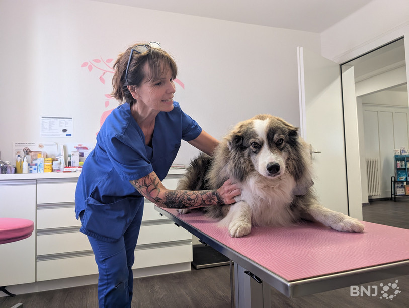 Nos animaux domestiques souffrent encore plus de la chaleur que les êtres humains, d’après Sylvie Lüdi, vétérinaire basée à Tavannes.