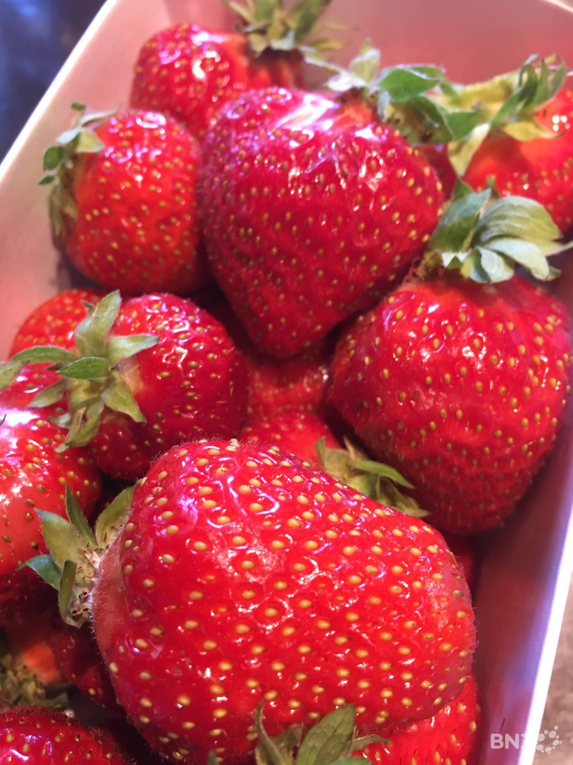 fraises