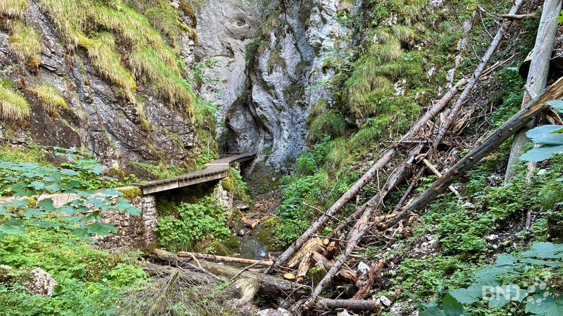 Les troncs et les débris de bois abattus dans la partie supérieure du sentier des Gorges de la Poëta-Raisse resteront dans le lit de la rivière jusqu'à leur évacuation par hélicoptère cet automne.
