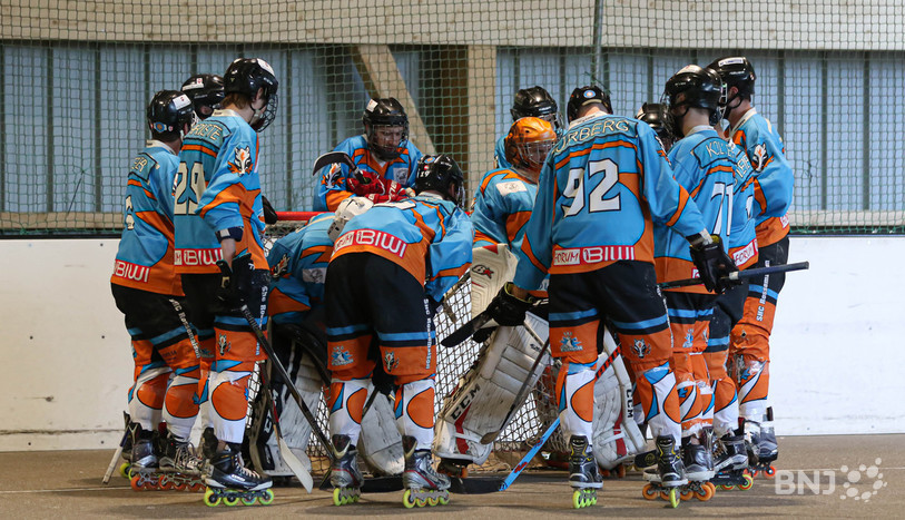 Les Rossignols filent en finale de play-off (photo : Mauricette Schnider/archives).