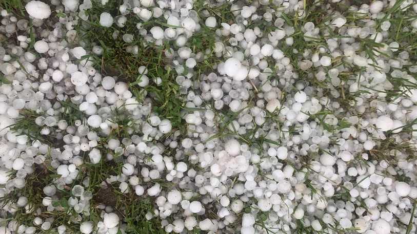Le sol jonché de grêlons chez Didier Parrat à Bourrignon.