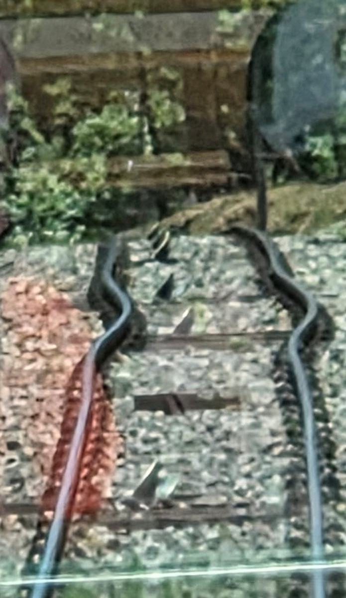 Les rails du funiculaire La Coudre-Chaumont se sont déformés sous l'effet de la chaleur. (Photo : David Huguenin)