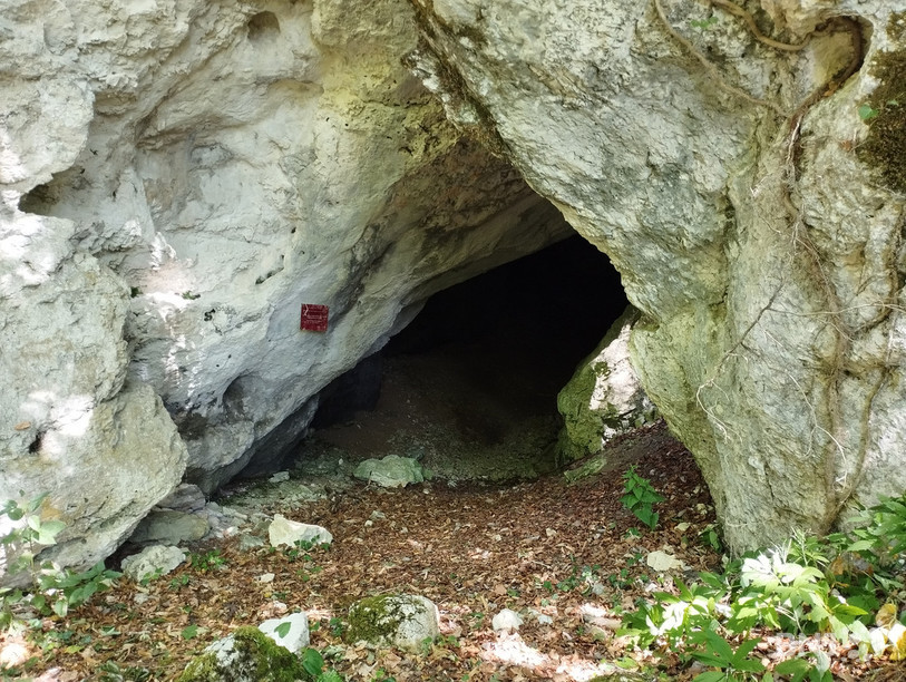 St-Brais compte trois grottes. La n°1 a permis de découvrir des indices de la présence humaine et animale il y a plusieurs millénaires.