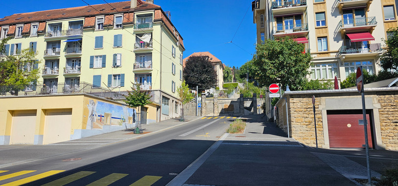 Un autre exemple d'arbres plantés à La Chaux-de-Fonds à la suite de la tempête de 2023. (Photo: Service des espaces publics de La Chaux-de-Fonds)