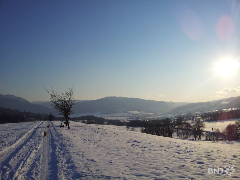 Haute-Sorne