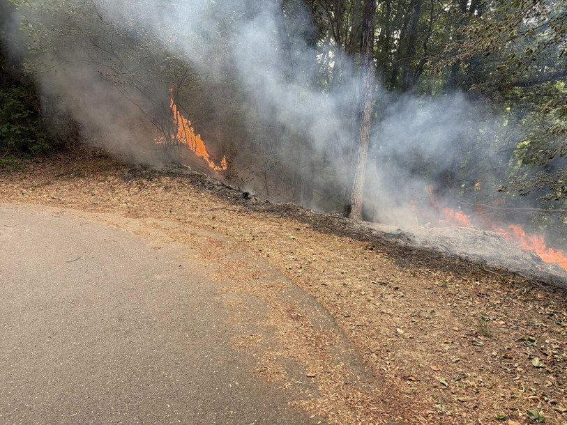 Le feu a touché une surface d’environ 100 mètres carrés sur la route des Granges à Cheyres. (Photo : Police cantonale fribourgeoise.)