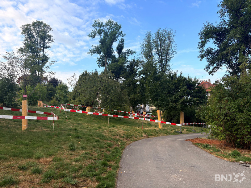 Chaque arbre du parc des Crêtets à La Chaux-de-Fonds a été protégé avant le début des travaux de réaménagement.