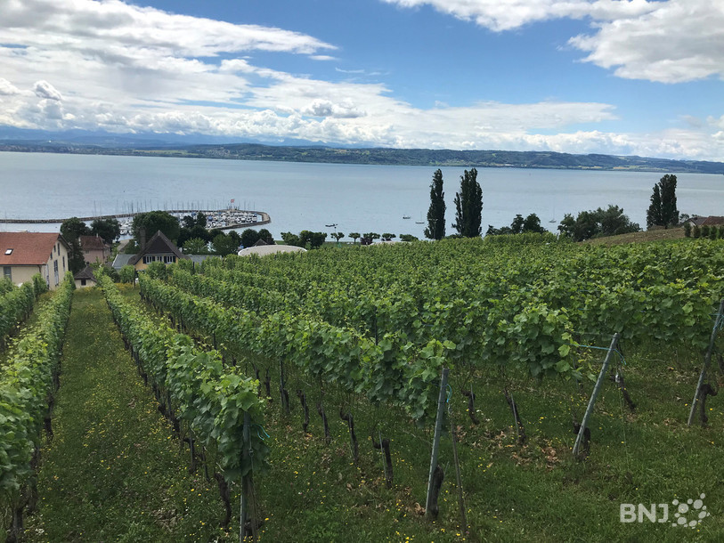 La direction de l’office de la viticulture et de l’agroécologie, ainsi que de la station viticole seront assumées par Rémy Reymond. (Photo : archives)