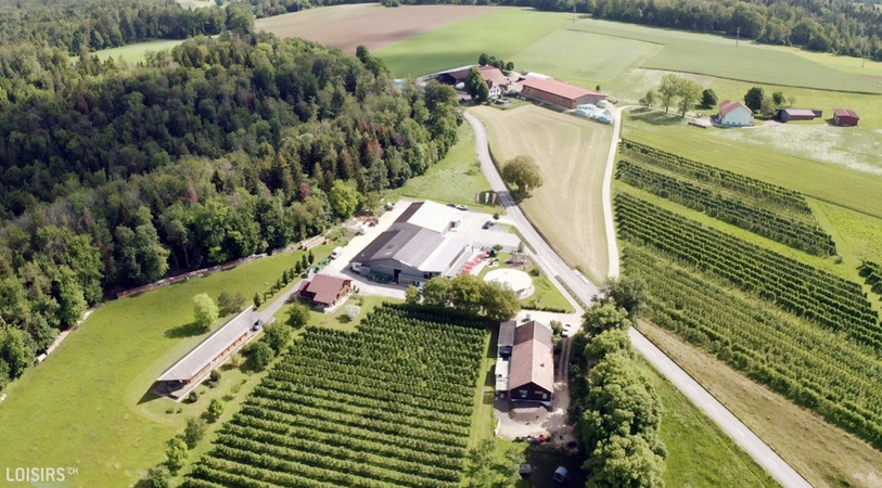 Les Vergers d'Ajoie se trouvent à Porrentruy, en direction de Coeuve. (Photo : Vergers d'Ajoie).