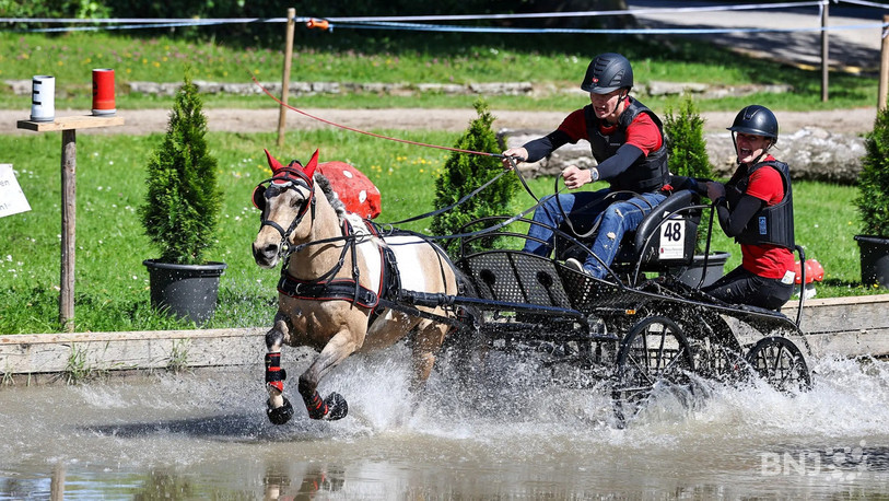 Léo Cordes et Eshet lors du marathon du CAN de Berne 2026 ( photo d'archive: Brigitte Gfeller Swiss Equestrian).