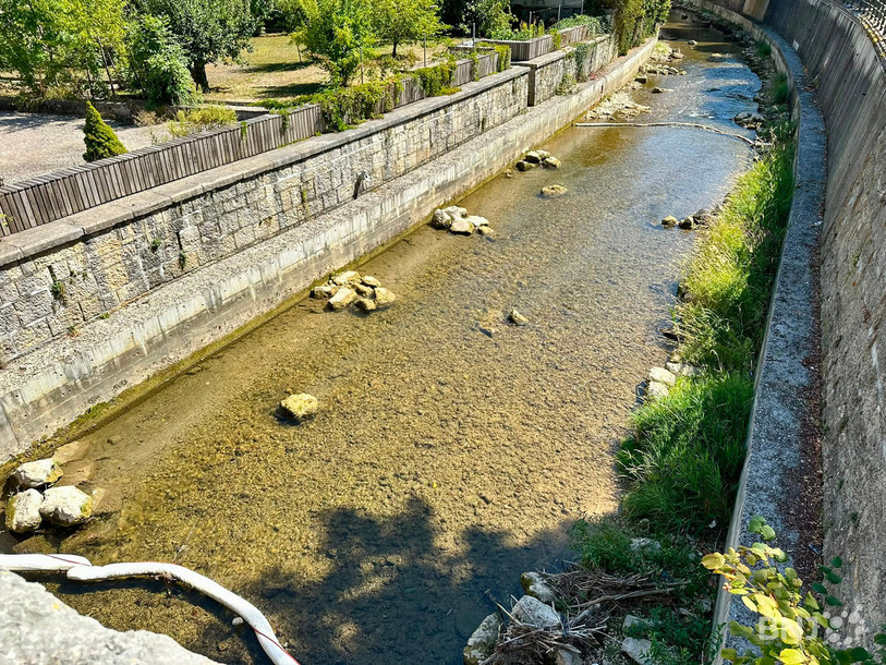 Les barrages absorbants installés dans la Sorne ont permis de dépolluer la rivière.