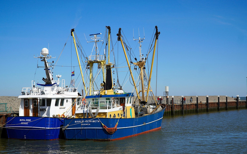 La récole des pêcheurs évoluent en mer du Nord avec le réchauffement climatique. (Photo d'illustration libre de droits).