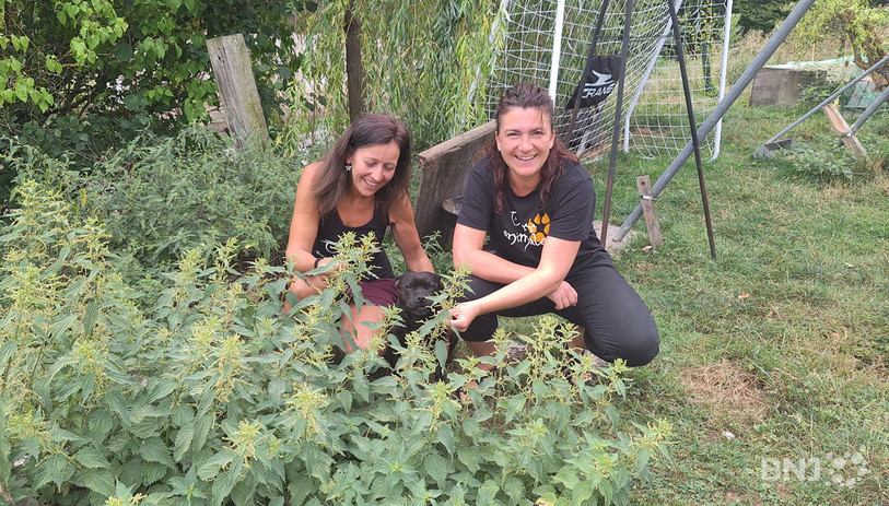 Sandra Rohrbach, présidente et Aline Jecker-Juillerat, membre du comité du festival Terr-animale. (Crédit : cro)