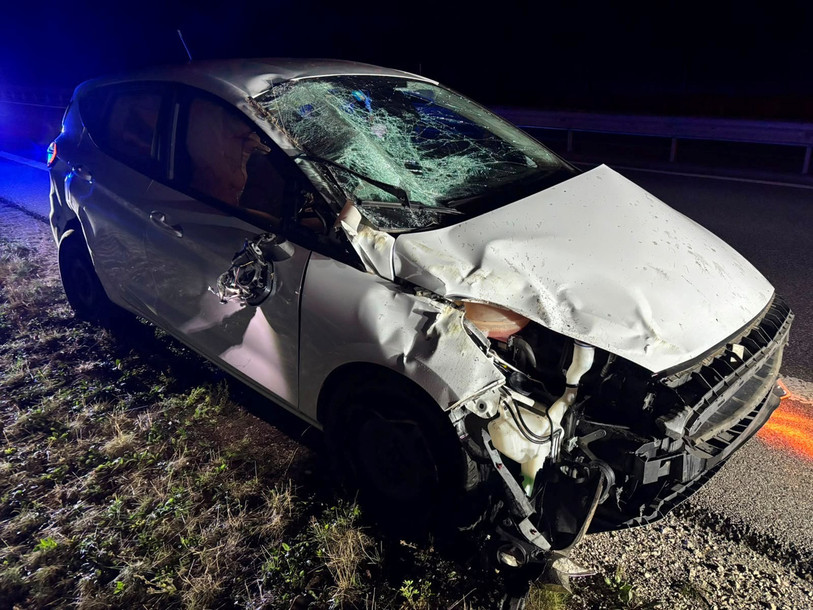 La voiture a heurté des panneaux de signalisation avant de percuter le talus et de terminer sa course 150 mètres plus loin sur la bande d'arrêt d'urgence. (Photo : Police cantonale jurassienne)