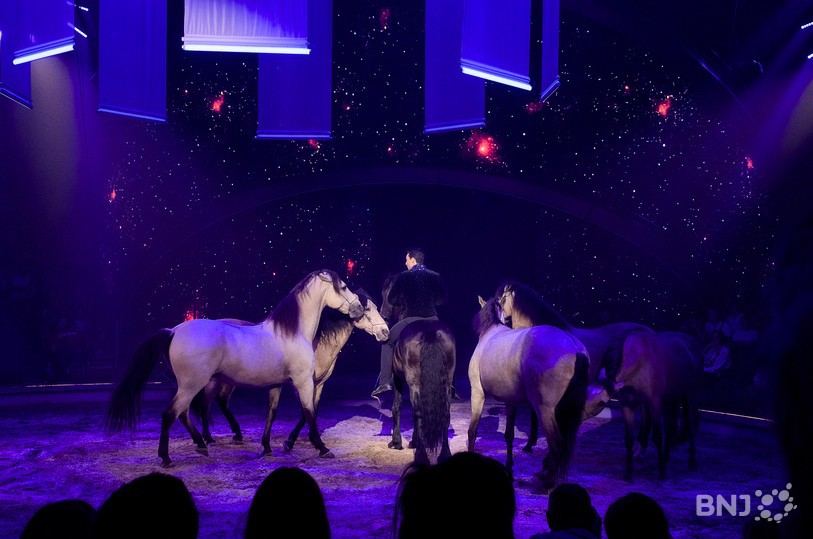 Cirque KNIE 2026