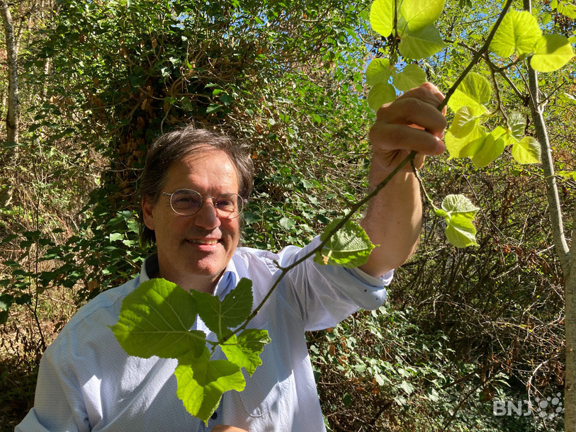 Le directeur du Jardin botanique de Neuchâtel, Blaise Mulhauser, tient entre ses mains une branche de tilleul qui a fait un deuxième feuillage en cette fin d'été.